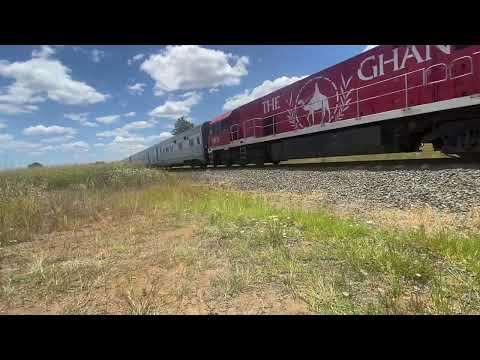 Journey beyond’s great southern leads  NR30,NR44 and NR74 through Kagaru on 2BT8 23/1/23