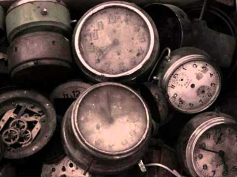 Herbivoros Contaminados - Pause