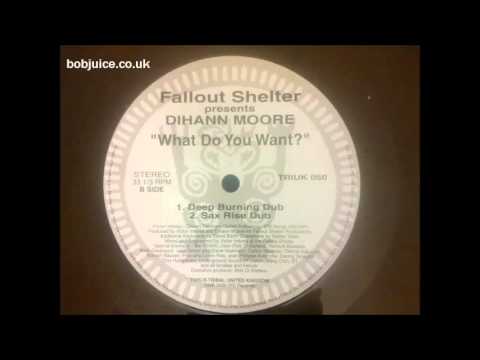 Fallout Shelter feat Dihann Moore - What do you Want? (Deep Burning Dub)
