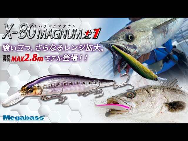 【シーバス、サワラ】喰い立つ、さらなるレンジ拡大。潜行深度MAX2.8mモデル登場。「X-80 MAGNUM+1」アクション動画