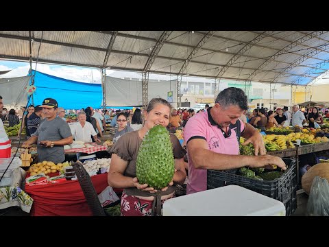 Feira livre de São José do Egito PE em 13-06-26
