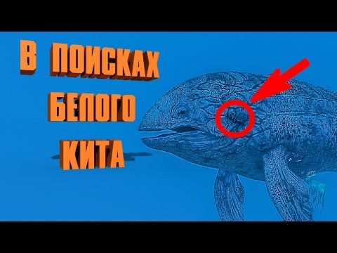 ЧИТЕРСКИЙ ПЛОТ, В ПОИСКАХ БЕЛОГО КИТА - ARK: SURVIVAL EVOLVED
