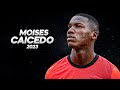 Moisés Caicedo - The Most Wanted