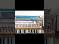 Jaat Movie BGM Theme Song Shorts Ytshorts Trendingshorts Viralshort Jaat Ringtone Harmoniumcover