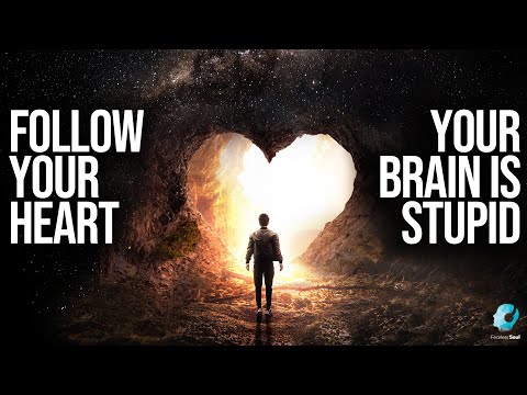 Follow Your Heart 君の脳みそはバカだ（THE SONG! (Follow Your Heart Your Brain Is Stupid (THE SONG!) Official Lyric Video)