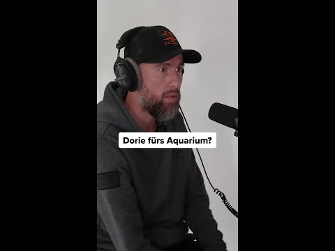Dories Reise ins Aquarium 🐠
