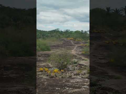 lagedo das contendas, São Diogo, Planaltino Bahia
