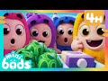 Yes Yes Vegetables 🫛 Minibods Preschool Cartoons For Toddlers