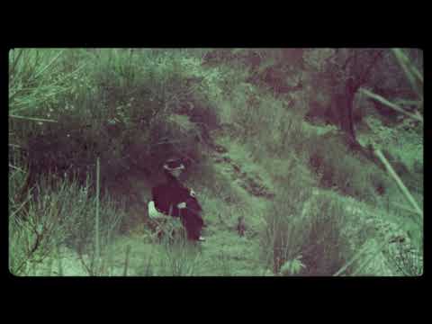 A State Film / Trailer / 29th Ji.hlava IDFF