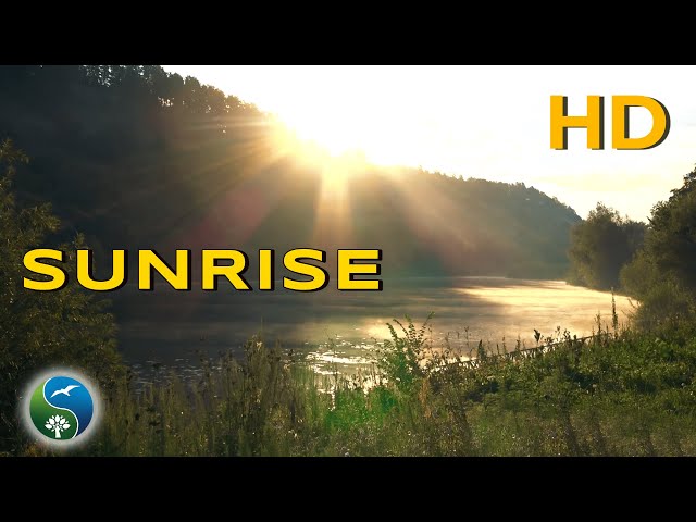 Релакс, Восход солнца!