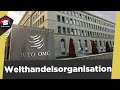 WTO - Welthandelsorganisation - Merkmale, Mitglieder, Prinzipien, Aufgaben - WTO einfach erklärt!