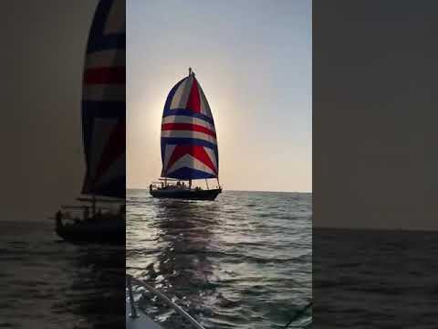 Kanter 66 navegando con genaker