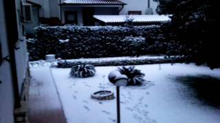 preview picture of video 'Neve a Pontinia (Latina) - parte 3'