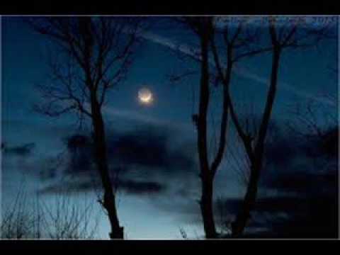 Nocas nisu sjale, S Binicki