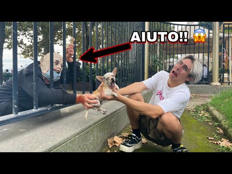 UNO SCONOSCIUTO CERCA DI RAPIRE IL NOSTRO CAGNOLINO AL PARCO GIOCHI!! *che paura*