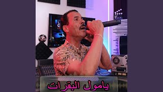 يامول البقرات يامول البقرات