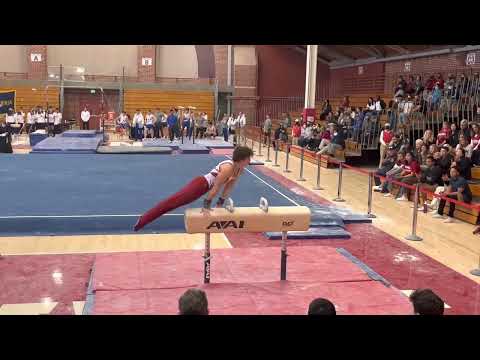 Nick Kuebler Pommel Horse - Air Force/Cal 220305