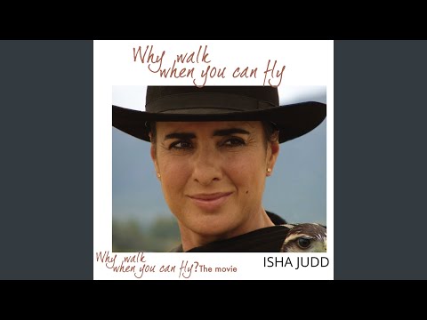 Why Walk When You Can Fly?