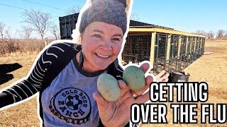 Recovering from Influenza A: First Day Outside to Collect Eggs & See My Animals!