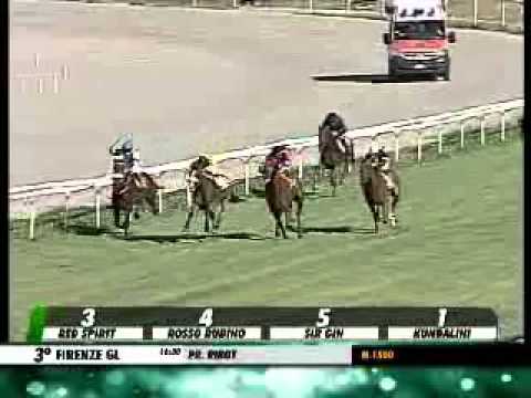 05/09/2013, Firenze , Premio Ribot