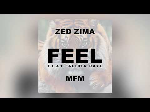 zed zima feel ft alica raye