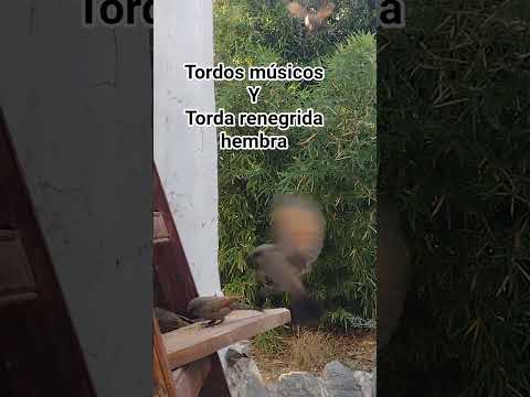 Los Molles,Junin.San Luis.Argentina.