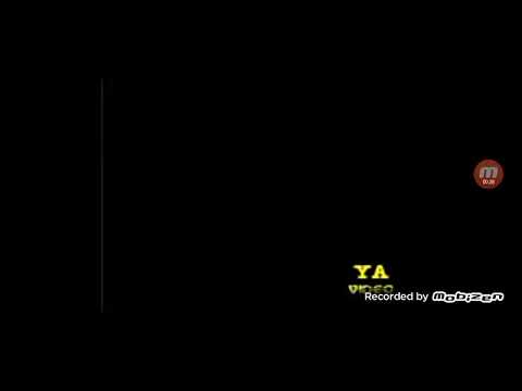 296. Elena la Ballena