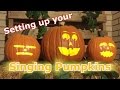 Setting Up Your Singing Pumpkins Display