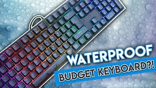 Video thumbnail for This Budget RGB Keyboard is... WATERPROOF?! [Cooler Master Masterkeys Lite L Combo Review!] by GeekaWhat