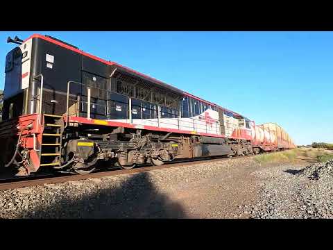 CSR024 & SCT007 Gunningbland NSW.  Sun 05th Feb 2023