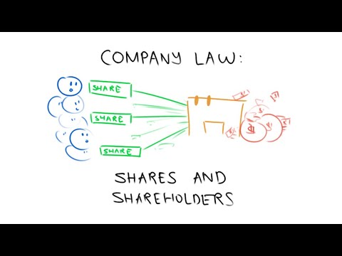 Company Law: Shares and Shareholders in 3 Minutes