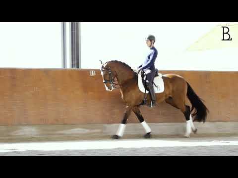 Jackpot das Faias / Ricardo Vinhas Reis