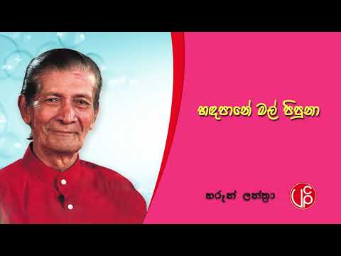 Handapaane Mal pipuna l හඳපානේ මල් පිපුණා l Haroon Lanthra
