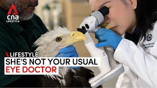 Meet Singapore’s animal eye doctor – her patients include pets, an eagle and even a frog