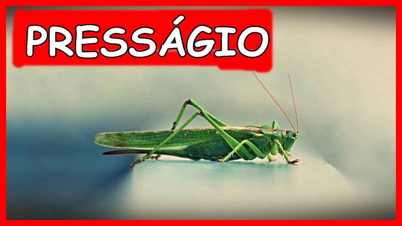 PRESSAGIO DA ESPERANÇA A VISITA DA ESPERANÇA EM SEU LAR SIGNIFICADO COMPLETO