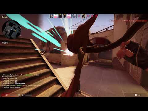 100 Twarzy Grzybiarzy Highlights #3