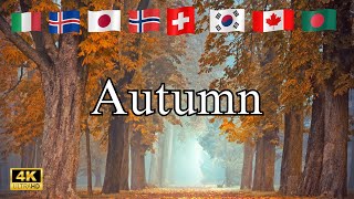 Autumn Around the World 🍁 | Fall Colors & Nature in 4K | 15+ Countries