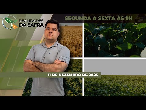 Soja sofre com o clima em Doutor Camargo/PR e Sealba vai finalizando colheita do milho