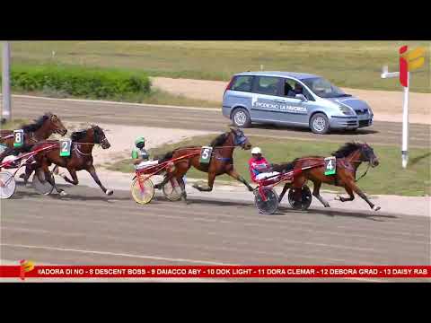 I Corsa del 7 Maggio 2023 - 4 Anni - Metri 1600