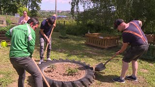 Egyre több iskolában alakítanak ki közösségi kertet
