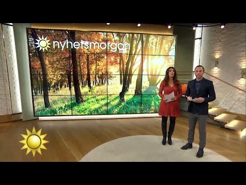Det här händer i dag - Nyhetsmorgon (TV4)
