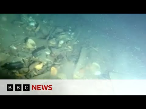Shipwreck artefacts recovered off the coast of UK | BBC News