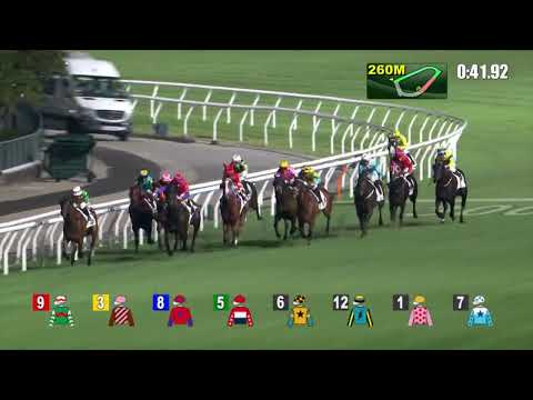 14/9/2022 (14) Gold Gold Baby - Vincent Ho