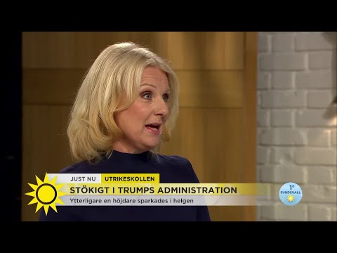 ”Flera står i kö för att få sparken” - Nyhetsmorgon (TV4)