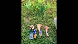 Download lagu story wa sore hari mp3