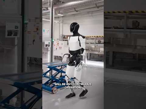 @DwarkeshPatel - "Why Robots Won't Completely Replace Workers - Elon Musk"