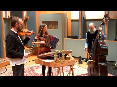 Volk Folk: Mazurka (živo Prva vrsta)