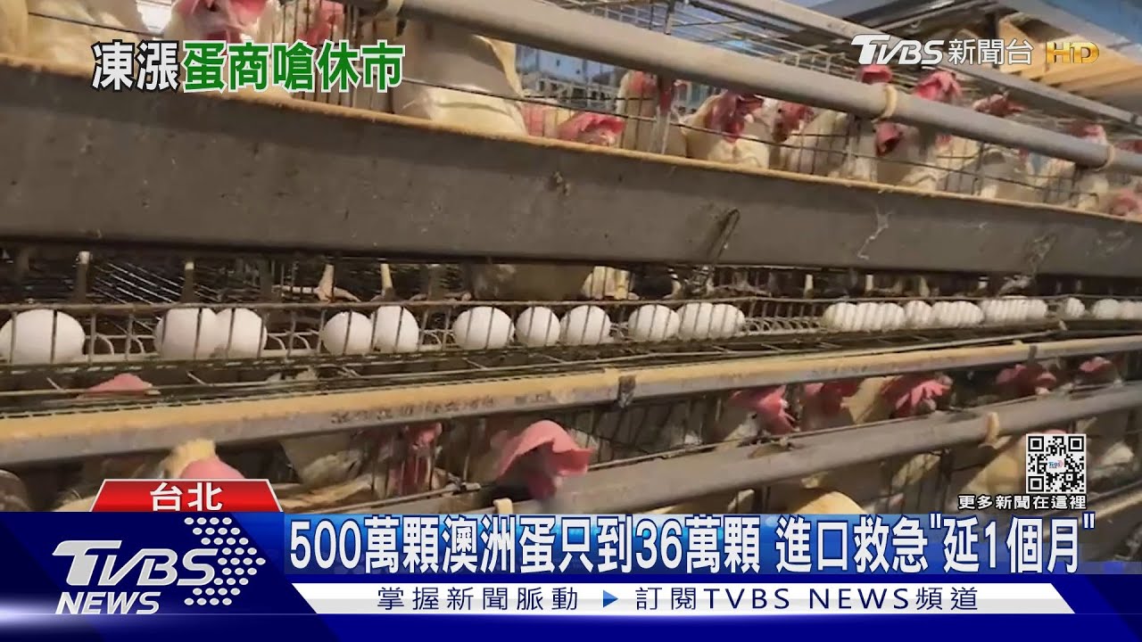 蛋價凍漲1週蛋商怒：擬休市　委員會：官方出手