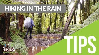 How to hike in the rain: Expert tips