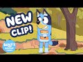 Will Bluey Find Jean Luc Brand New Camping ️ Bluey S Bestest Friends Official Channel